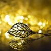 51WXhzka30L._SX466_ Premium Golden & Multi-Color Mini Lantern Fairy Lights | Luxury Corporate Gifting Home Decoration Light Kit