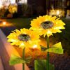 71QZnw0YBzL._SX466_ Vibrant Solar LED Sunflower Pathway Lights | Durable Outdoor Flower Decor Stakes for Garden & Lawn-Set of 2