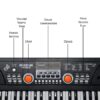 71kwl63OXEL._SY450_ Portable Digital Piano Keyboard for Beginners & Kids