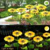81JemO2Xz0L._SX466_ Vibrant Solar LED Sunflower Pathway Lights | Durable Outdoor Flower Decor Stakes for Garden & Lawn-Set of 2